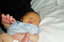 p2120056crop.jpg